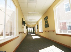 interior paint and carpet