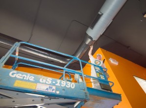 professional painting